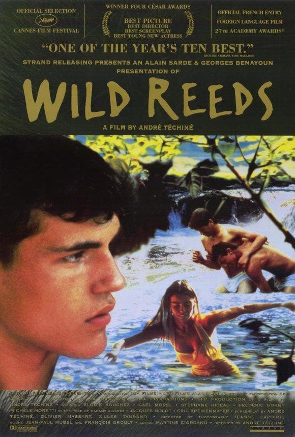 Wild Reeds