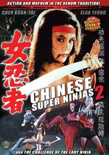 The Challenge of the Lady Ninja