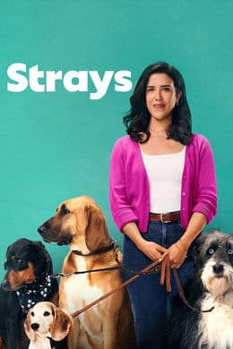 Strays S2