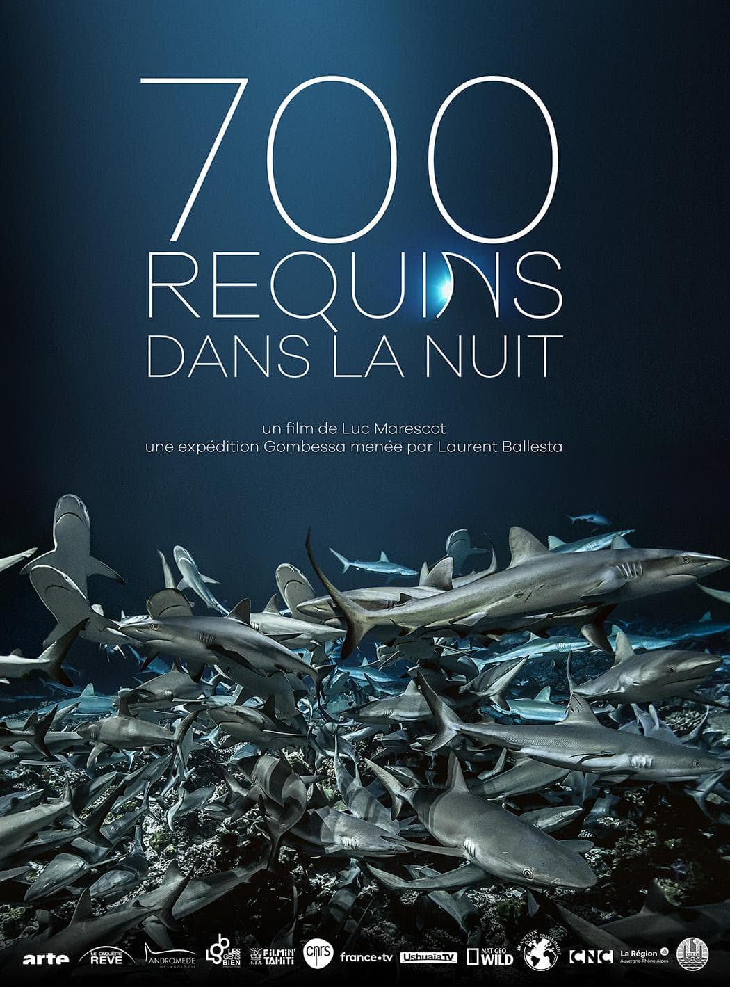 700 Sharks