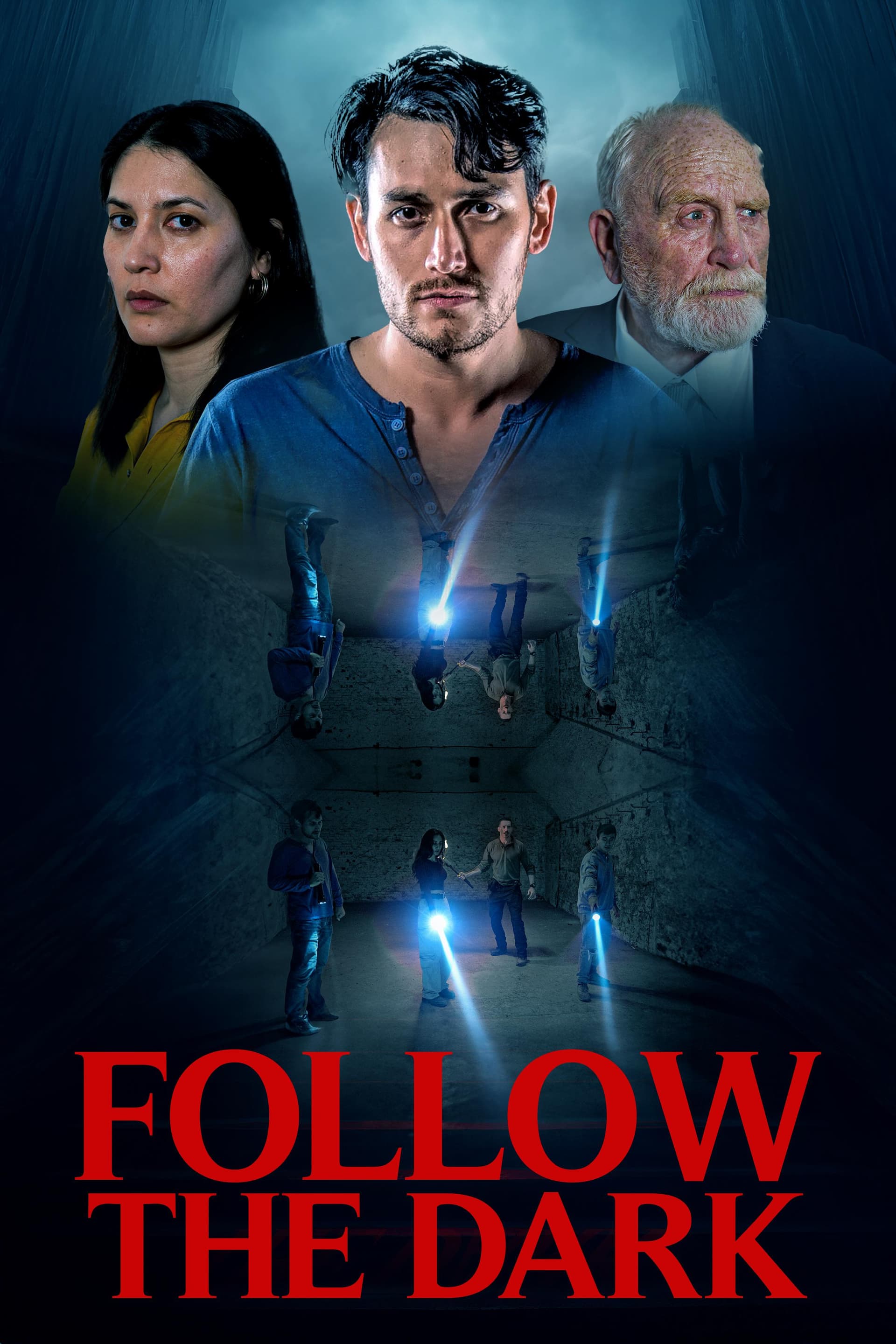 Follow the Dark