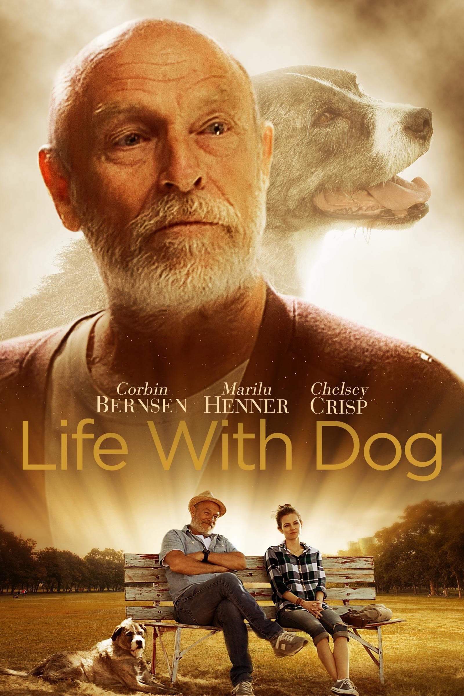 Life with Dog