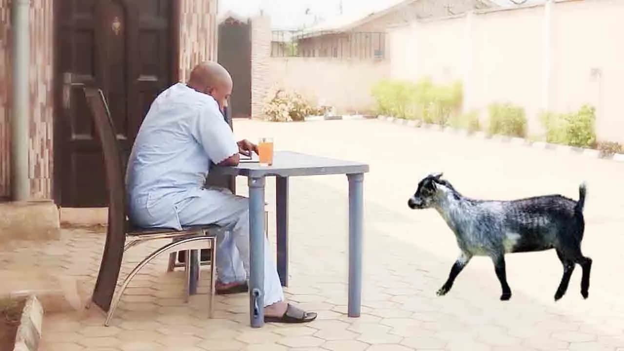 Ewure Ajibade